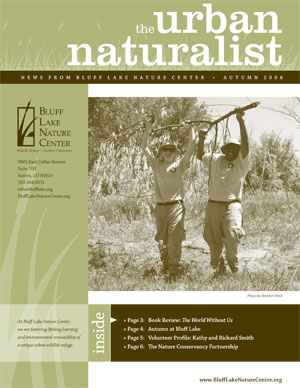 newsletter